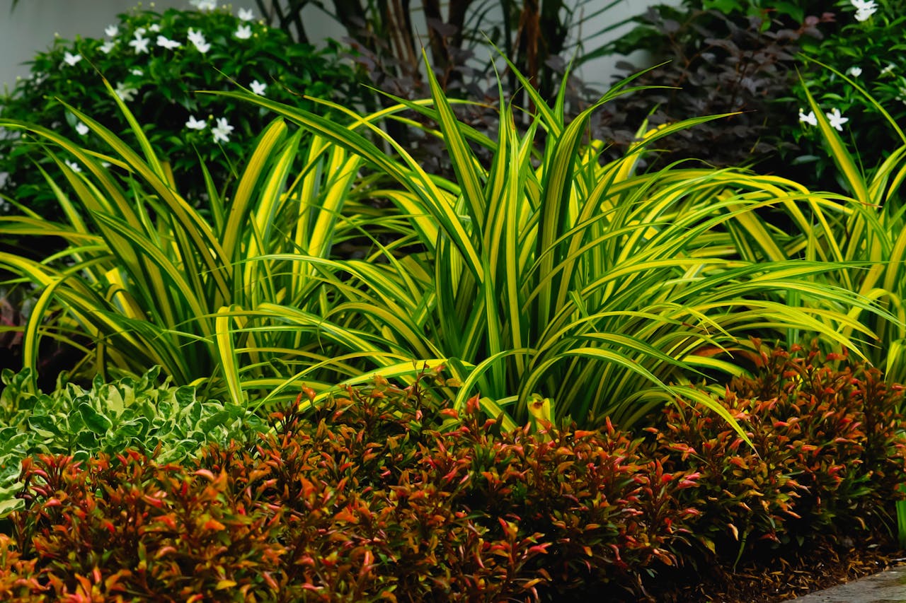 plan aménagement paysager jardin terrasse bois plantes bretagne bureau d'études saint brieuc conception plan 3D architecture paysagiste