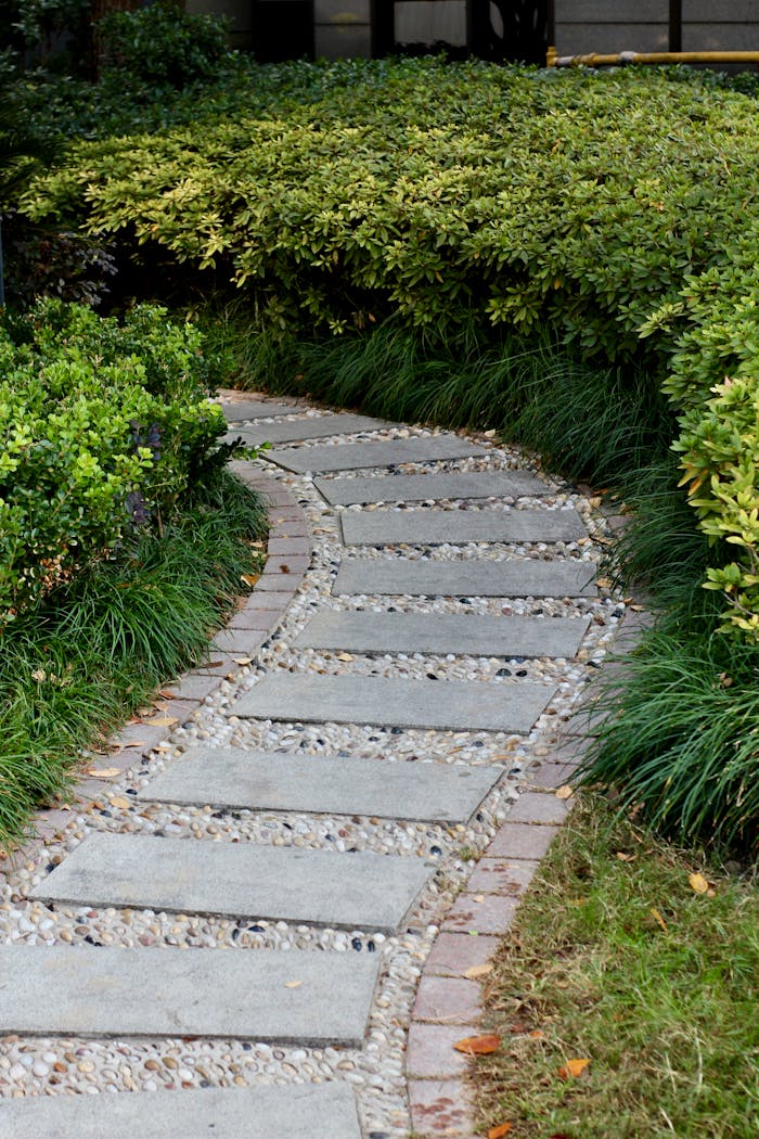 Curved stone pathway surrounded by lush greenery in a garden setting.